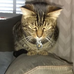 Meet your Posher, Aj